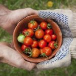 贝博娱乐:探索在线娱乐平台的多样化选择与乐趣 3h2cg5oi