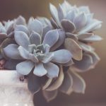 豪门娱乐官网的魅力:为何它成为玩家的新宠? 4vt7zjm