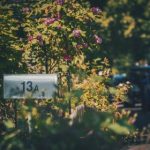 财神平台用户体验分享:成功案例与实用技巧 kg1gnh0v