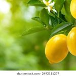 赌博机的玩法揭秘:如何提高胜率与娱乐体验 tg6rlete8