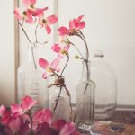 贝博app官网注册流程、账户安全与隐私保护要点 vwmzd199